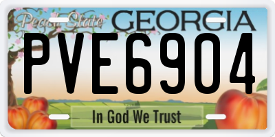 GA license plate PVE6904