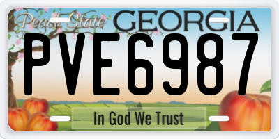 GA license plate PVE6987