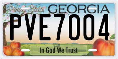 GA license plate PVE7004