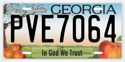 GA license plate PVE7064