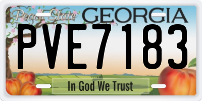 GA license plate PVE7183