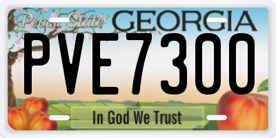GA license plate PVE7300