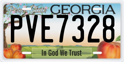 GA license plate PVE7328