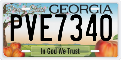 GA license plate PVE7340