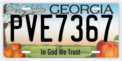GA license plate PVE7367