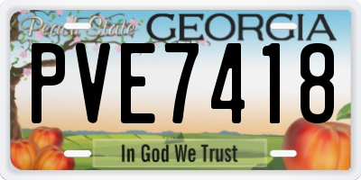 GA license plate PVE7418
