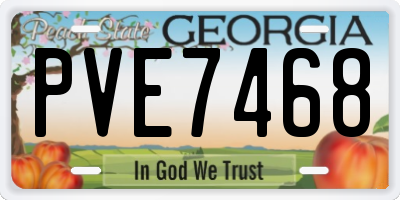 GA license plate PVE7468