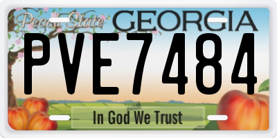 GA license plate PVE7484