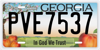 GA license plate PVE7537