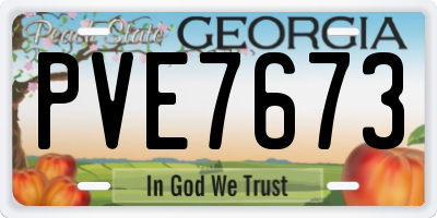 GA license plate PVE7673