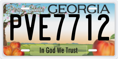 GA license plate PVE7712