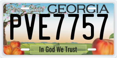 GA license plate PVE7757
