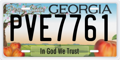 GA license plate PVE7761