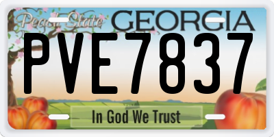 GA license plate PVE7837
