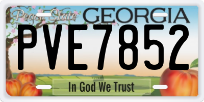 GA license plate PVE7852