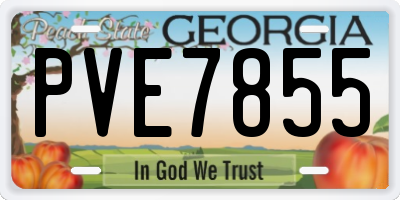 GA license plate PVE7855