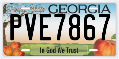 GA license plate PVE7867