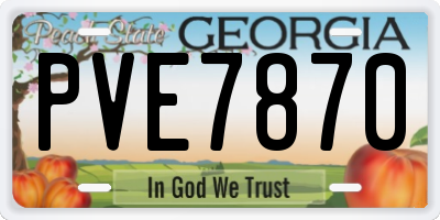 GA license plate PVE7870