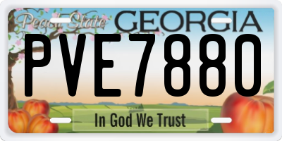 GA license plate PVE7880