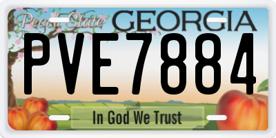 GA license plate PVE7884