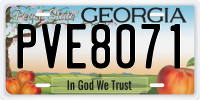 GA license plate PVE8071