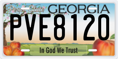 GA license plate PVE8120