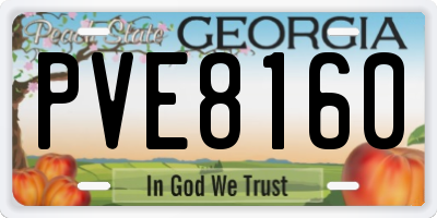 GA license plate PVE8160