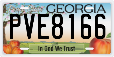 GA license plate PVE8166