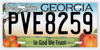 GA license plate PVE8259