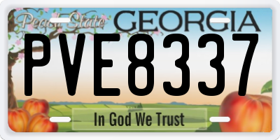 GA license plate PVE8337