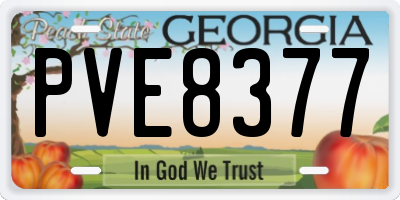 GA license plate PVE8377