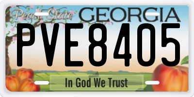 GA license plate PVE8405
