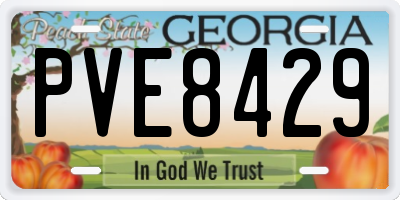 GA license plate PVE8429