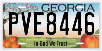 GA license plate PVE8446