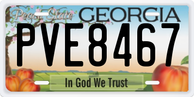 GA license plate PVE8467
