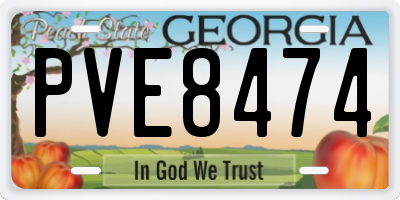 GA license plate PVE8474