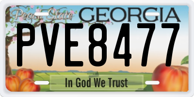 GA license plate PVE8477