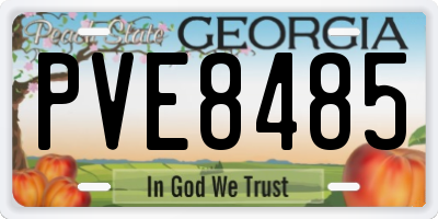 GA license plate PVE8485