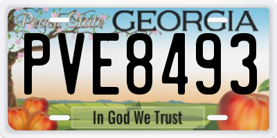 GA license plate PVE8493