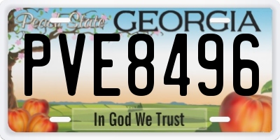 GA license plate PVE8496
