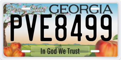 GA license plate PVE8499