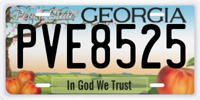 GA license plate PVE8525