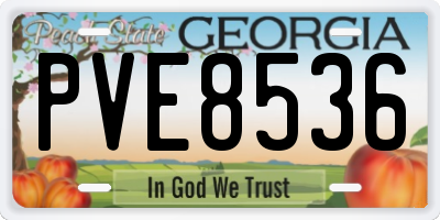 GA license plate PVE8536