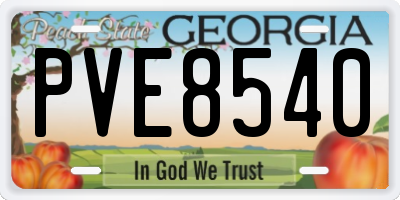 GA license plate PVE8540