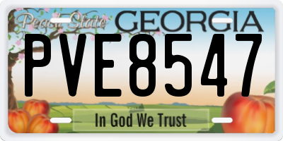 GA license plate PVE8547
