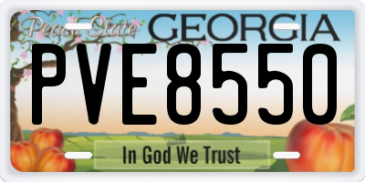 GA license plate PVE8550