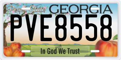 GA license plate PVE8558
