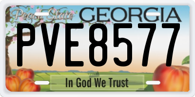 GA license plate PVE8577