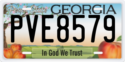 GA license plate PVE8579
