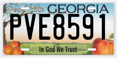 GA license plate PVE8591